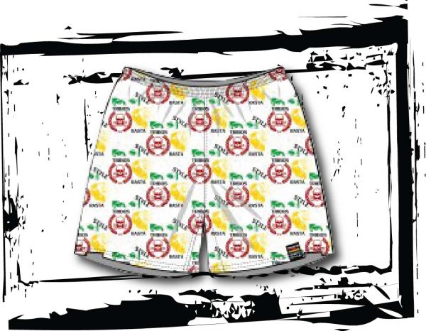 SAMBA CANÇÃO REF 2